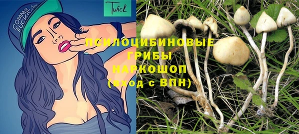 ешки Осинники