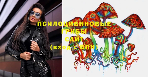 СК Алзамай