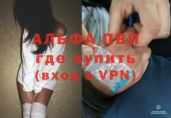 СК Алзамай